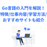 Go言語の入門を解説!